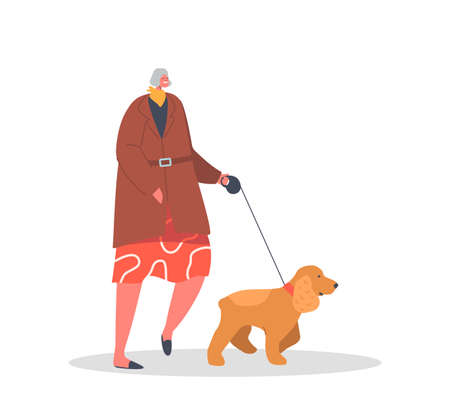 Elderly Female Character Walking with Dog at Park Isolated on White Background. Mature Woman Spending Time with Spanielのイラスト素材