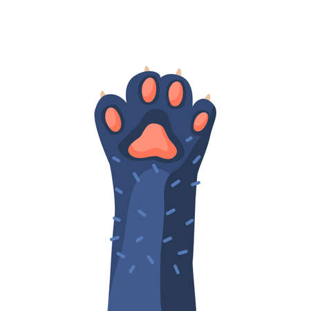 Cat Paw with Pink Pads, Dark Fur and Claws Isolated on White Background. Animal Hand Raised Up. Childish Design Elementのイラスト素材
