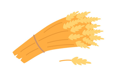 Wheat Sheaf Isolated On White Background. Symbol Of Abundance And Prosperity, Bundle Of Wheat Stalks Bound Togetherのイラスト素材