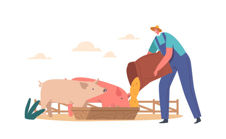 Young Man Feeding Pigs Putting Grain in Trough. Male Farmer Character at Work Process with Domestic Animals at Farmのイラスト素材