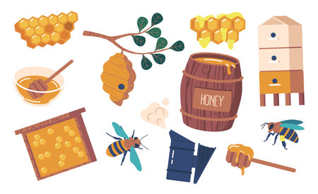 Apiary Items Set. Smoker, Hive, Barrel, Queen And Bee, Honey Dipper Or Frame. These Essential Tools Vector Illustrationのイラスト素材