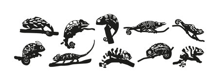 Black Silhouettes Of Chameleons Are Unique Lizards Known For Their Ability To Change Color. They Have Sticky Tonguesのイラスト素材