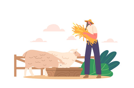 Farmer Female Character Tends Sheep Flock With Fresh Hay. Animals Happily Graze On Nutritious Feedのイラスト素材