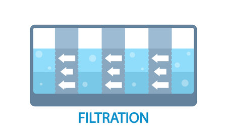 Water Filtration Removes Impurities And Contaminants, Ensuring Clean And Safe Drinking Water. It Improves Tasteのイラスト素材