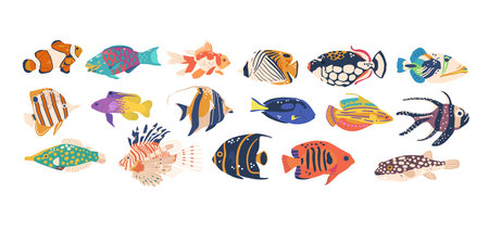 Diverse Set Of Sea Fishes Clown, Angel, Butterfly, Showcase The Beauty And Variety Of Underwater Life, Illustrationのイラスト素材