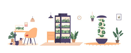 Home Interiors with Equipment for Cultivation Fresh Greens and Herbs Indoors, Utilizing Natural Lightのイラスト素材