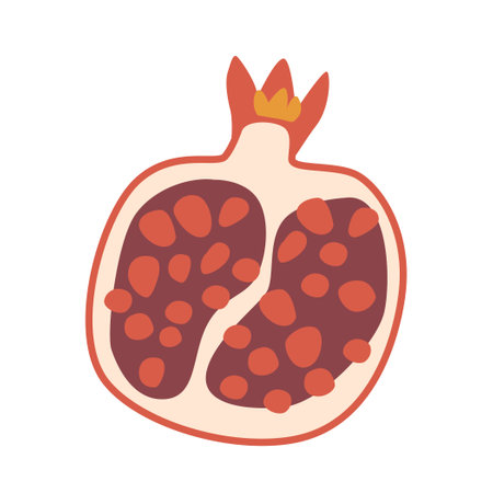 Isolated Garnet Tropical Fruit Half. Sweet And Juicy Pomegranate Is A Deep Red Gem Of Nature, Vector Illustrationのイラスト素材