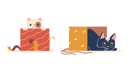 Mischievous Cats Nestled Inside A Festive Christmas Gift Boxes, Eyes Sparkling With Curiosity, Ready To Surpriseのイラスト素材