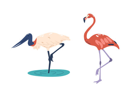 tropical Wood Stork, Large Wading Bird With Bald Head And Long Bill, Found In Wetlands. Flamingo is a Tall Waderのイラスト素材