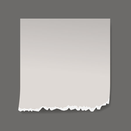 White Torn Or Ripped Paper Sheet With Ripped Edge. Blank Scrapbook Decor, Notebook Page, Tear Page Splitのイラスト素材