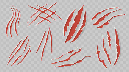 Set Of Red Claw Scratches. Narrow, Elongated Marks Or Tears On A Surface, Caused By The Sharp Nails Or Animals Talonsのイラスト素材