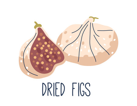 Dried Figs Are Chewy, Sweet Fruits With A Dense Texture. They Offer A Concentrated Flavor Reminiscent Of Honeyのイラスト素材