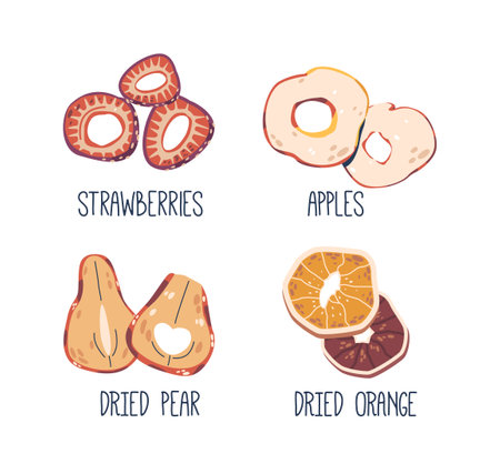 Dried Fruits And Berries. Strawberries, Apple, Pear And Orange, Preserved Through Dehydration, Vector Illustrationのイラスト素材