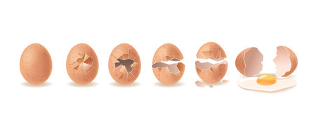 Vector Sequence Showing The Stages Of Brown Egg Cracking Progressively Until Fully Opened, Revealing...