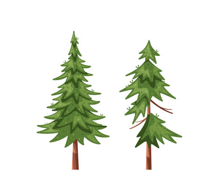 Vector Illustration Featuring Two Cartoon-style Evergreen Coniferous Trees. Image Showcases Detailed Greeneryのイラスト素材