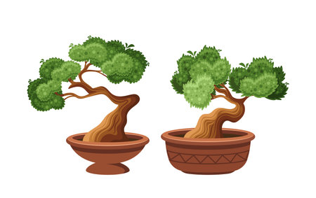 Two Bonsai Trees In Pots Isolated On White Background. Cartoon Vector Illustration Showcases The Artistry And Natureのイラスト素材