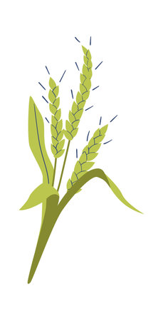 Green spikelet with wheat grainsのイラスト素材