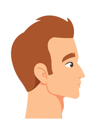 Hair transplantation surgery result vector illustrationのイラスト素材