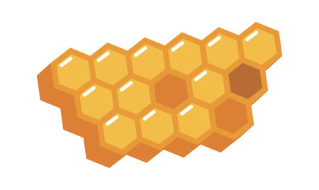 Beehive honeycomb hexagon grid cellsのイラスト素材