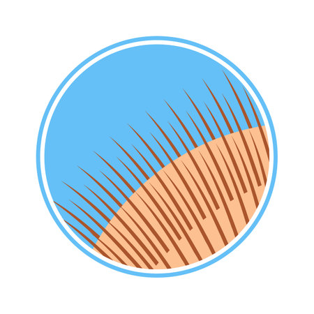 Hair transplantation result vector illustrationのイラスト素材