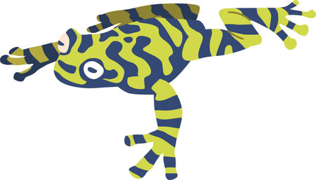 Poisonous froglet animal vector illustrationのイラスト素材