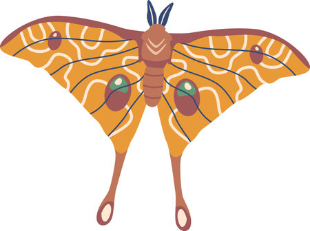 Butterfly flying insects vector illustrationのイラスト素材