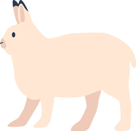 Arctic hare animal vector illustrationのイラスト素材