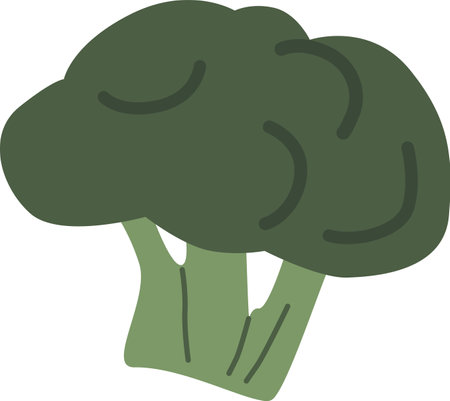 Fresh broccoli vegetable vector illustrationのイラスト素材