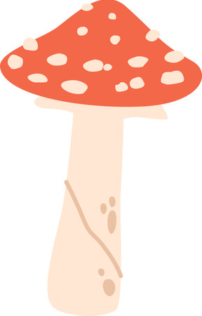 Fly agaric autumn mushroom vector illustrationのイラスト素材
