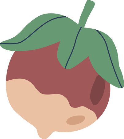 Single ripe hazelnut vector illustrationのイラスト素材