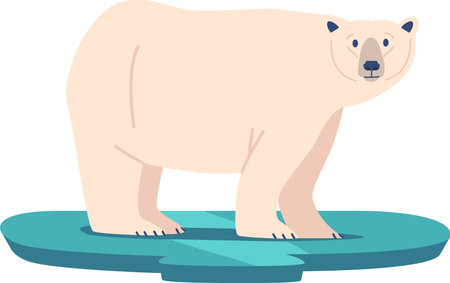 Arctic snowy bear animal vector illustrationのイラスト素材