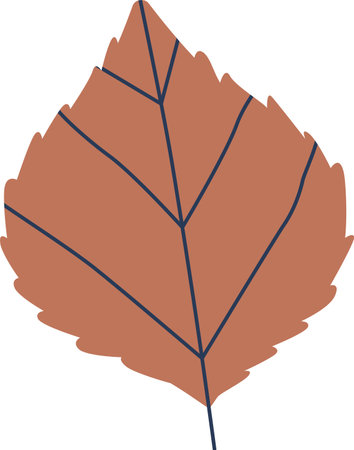 Birch autumn leaf vector illustrationのイラスト素材
