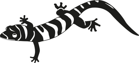 Tropical gecko black-and-white vector illustrationのイラスト素材