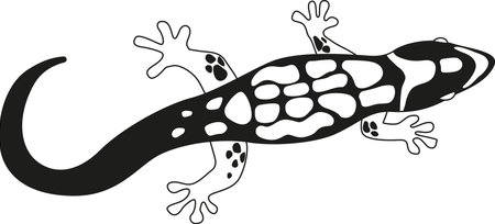 Exotic amphibian black-and-white vector illustrationのイラスト素材