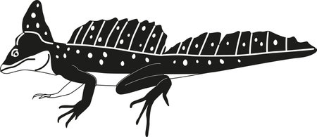 Exotic iguana black-and-white vector illustrationのイラスト素材