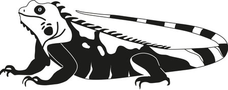 Graphical varan black-and-white vector illustrationのイラスト素材