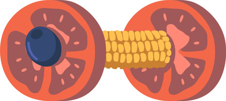 Barbell from sport food vector illustrationのイラスト素材