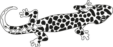Exotic lizard black-and-white vector illustrationのイラスト素材