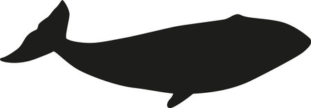 Black shark arctic water animalのイラスト素材