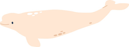 Cartoon white whale arctic animalのイラスト素材