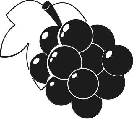 Black-and-white natural grapes vector illustrationのイラスト素材