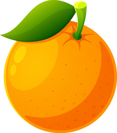 Ripe natural orange vector illustrationのイラスト素材