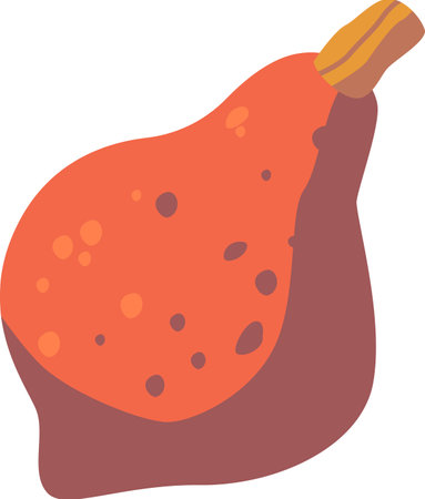 Pumpkin autumn vegetable vector illustrationのイラスト素材