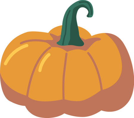 Natural pumpkin vegetable vector illustrationのイラスト素材