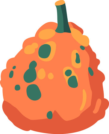 Colorful pumpkin vegetable vector illustrationのイラスト素材