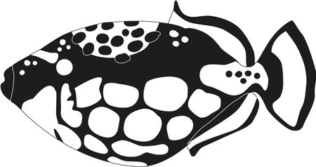 Patterned aquarium fish black-and-white vector illustrationのイラスト素材