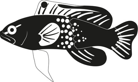 Exotic fish underwater black-and-white vector illustrationのイラスト素材