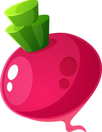Whole radish vegetable vector illustrationのイラスト素材