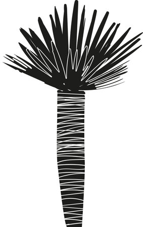 Palm tropical jungle tree vector illustrationのイラスト素材