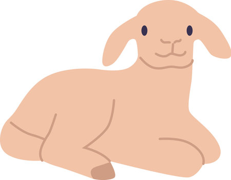 Lamb farm animal vector illustrationのイラスト素材
